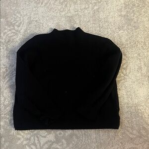 Premise womens Turtleneck Sweater in Deep Black